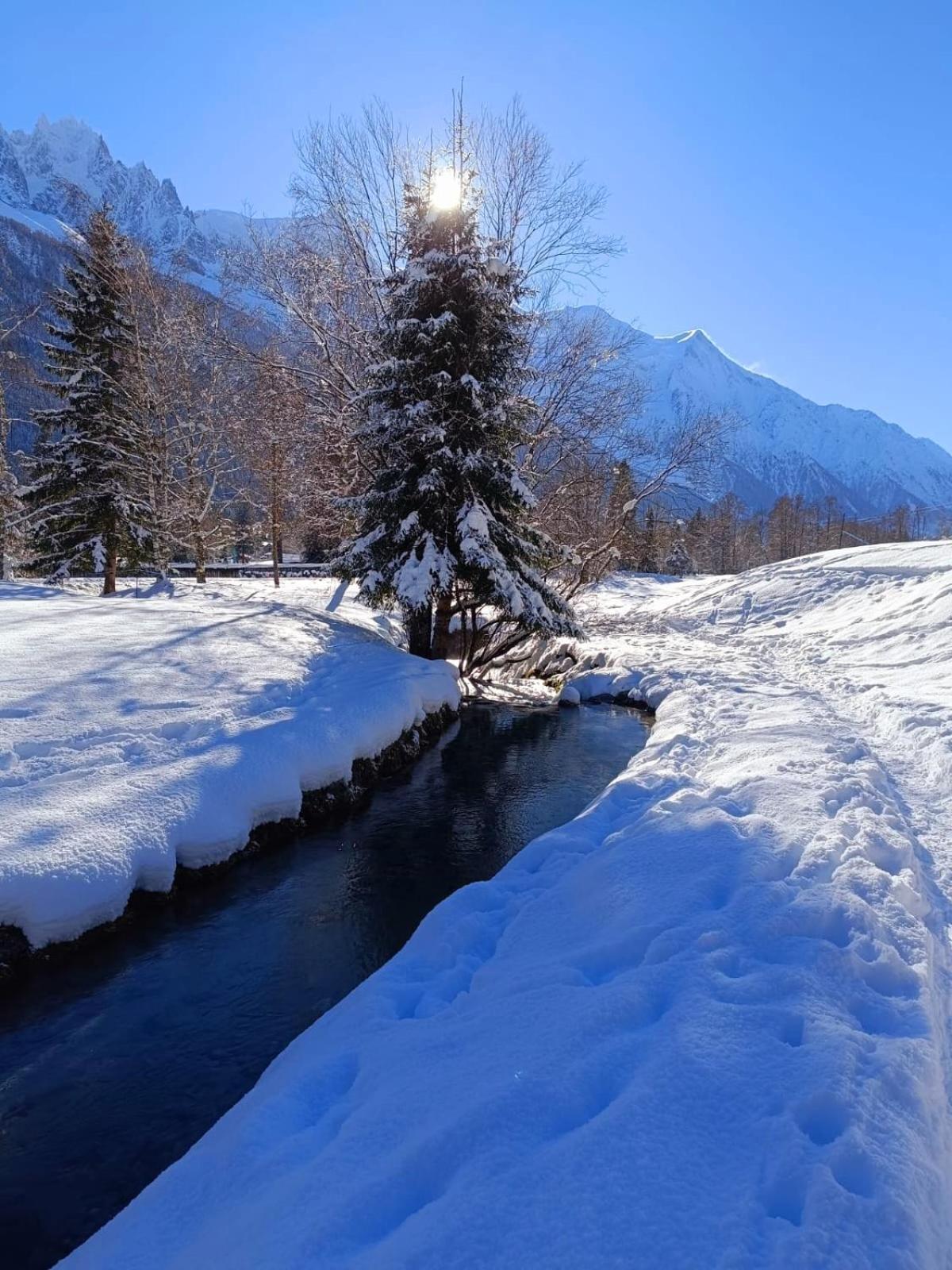 Appartement Chamonix Montblanc 1 A 4 Personnes 외부 사진